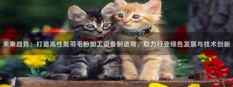 乌鲁木齐欧乐星城娱乐